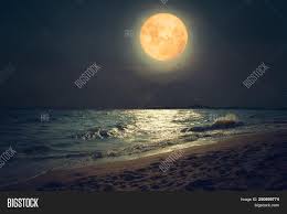 2,313 free images of moonlight. Beautiful Fantasy Tropical Sea Beach Full Moon Super Moon With Star Over Seascape In Night Skies Image Stock Photo 250699774