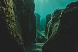 Mrs Carolina in Jubilant Gallery - Babepedia