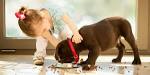 Best Dog Breeds for Kids – American Kennel Club