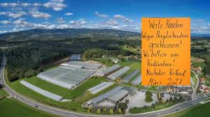 Trend Google: gärtnerei schacherl