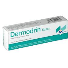 Dermodrin Salbe 100 G Shop Apotheke At