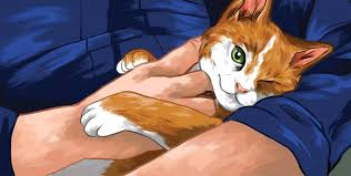 If you are seriously bored, then take this quiz right now. Quiz How Strong Is Your Bond With Your Cat Modern Cat