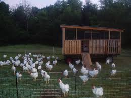 Mobile Coop Made Of Pallets And An Old Hay Wagon Mobile Chicken Coop Chicken Coop Chickens