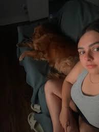 Animal photography locations with softbox lighting