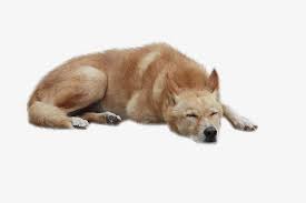 Sleeping Dogs Photoshop Textures Photoshop Images Render People