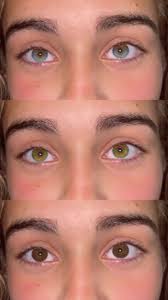 Nora Amin Raustein (@nora_ramin)