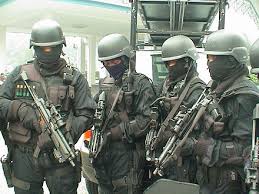 Kepala raja thai dipenggxl cik siti wan kembang | komando melayu pertama dari patani. Pasukan Gerakan Khas Wikiwand