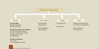 Estos medicamentos pueden provocar una caída de la presión arterial. Protocolo Diagnostico De La Perdida De Conciencia Transitoria En El Adulto Y En El Anciano Sciencedirect