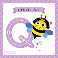 This is a set of uppercase and lowercase alphabet flashcards. Letter Q Uppercase Cute Children Colorful Zoo And Animals Abc Alphabet Tracing Flashcard Of Happy Queen Bee Holding Scepter For Kids Learning English Vocabulary And Handwriting Vector Illustration Royalty Free Cliparts Vectors