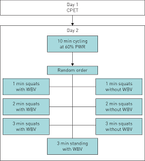 Study Flow Chart Cpet Cardiopulmonary Exercise Testing