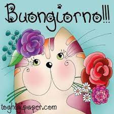 Buongiorno Nuove Immagini Gratis Per Facebook E Whatsapp Toghigi Paper Immagini Di Compleanno Immagini Di Buon Compleanno Idee Per Il Compleanno
