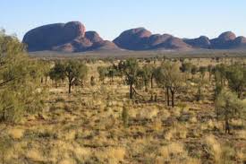 Tourist come from all over australia to visit and have a camel into the sunrise as dawn breaks over the panoramic scenery of the outback, you will be amazed at its raw, natural beauty. Uluru Small Group Tour By Camel At Sunrise Or Sunset 2021 Ayers Rock