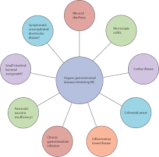 Some of these colon cancer symptoms can be caused by other conditions such as infections, irritable bowel syndrome, hemorrhoids, inflammatory bowel disease and not necessarily colon cancer. The Overlap Between Irritable Bowel Syndrome And Organic Gastrointestinal Diseases The Lancet Gastroenterology Hepatology