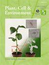 Publishing only the best work, plant, cell & environment publishes original research, either theoretical or experimental, that provides novel insights into the ways that plants respond to their environment. Plant Cell And Environment 0140 7791 Abe Ips