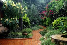 Green Lily Landscaping And Garden Design Service In Gardening Plants Eastern Cape Lady Grey South Africa Garden Design Farm Gardens Service Design
