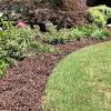 For an annual bed, remove old mulch before you till the soil and add compost. 1
