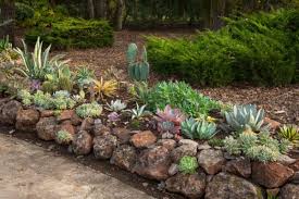 Landscaping design plans for small yards follow the same principles as for large properties, and often their size limitations offer unexpected aesthetic opportunities. 15 Creative Desert Landscape Ideas Mymove
