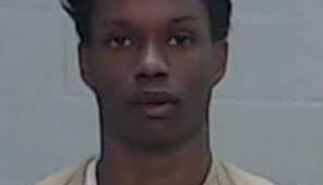 Two murder cases resolved with plea agreements