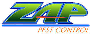 Addison pest control of texas provides reliable residential services to homes in northeast texas. Zap Pest Control Green Solutions For Nature S Pests