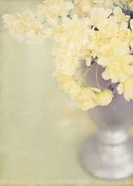 Summer minimal background with shadow from natural palm leaf on light yellow paper . Only When You Drink From The River Of Silence Shall You Indeed Sing Yellow Flowers Yellow Aesthetic Pastel Pastel Yellow