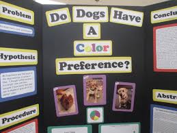 Do Dogs Have A Color Preference Science Fair Cool Science Fair Projects Kids Science Fair Projects Easy Science Fair Projects