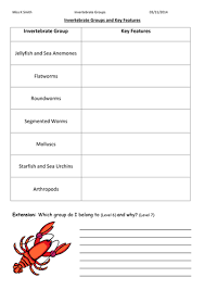 Invertebrates interactive exercise for 2º. Invertebrates Teaching Resources