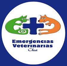 Emergencias Veterinarias Chia