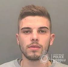 Driver who hit 120mph ran into woods but was hunted down by police dog