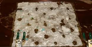 Recycling to clean spills