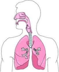 Was Passiert Bei Asthma Bronchiale Gesundheit Aktuell De