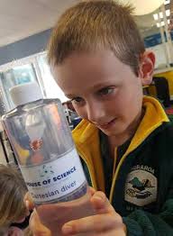 Tauraroa Area School