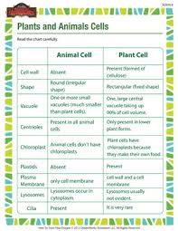 Plants And Animals Cells Science Printable For 5th Grade