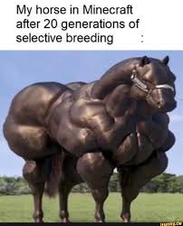 My Horse In Minecraft After 20 Generations Of Selective Breeding Ifunny Minecraft Funny Really Funny Memes Minecraft Memes