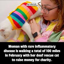 Charly Allso plans to walk 100 miles with her cat Evelyn. The funds she  raises will be donated to Solihull Hospital and Vasculitis UK! “Yes I've  got a disability, yes I've got