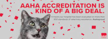It is important for making many body processes work correctly. Home Zimmerman Veterinary Clinic