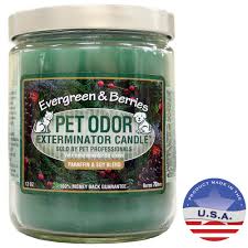 The package weight of the product is 1.4 pounds. Pet Odor Exterminator Candle Evergreen Berries