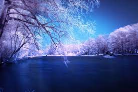 Winter Winter Wallpaper Blue Wallpapers Wallpaper