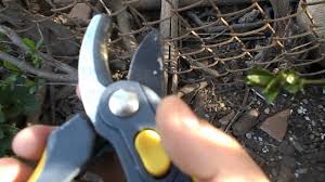 Foarfeca Pentru Crengi Florabest Scissors For Branches Florabest Youtube
