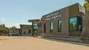 Bay area pet hospital … South Bay Animal Hospital And Pet Resort San Jose Ca