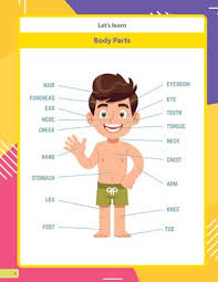 To help you out at this point, we have provided free printable lower kindergarten worksheets pdf for eglish, maths, hindi, and evs & gk on this page. Lkg Gk Future Intelligence Books