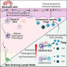 Overall survival among patients with activated phosphoinositide 3-kinase  delta syndrome (APDS) | Orphanet Journal of Rare Diseases | Full Text