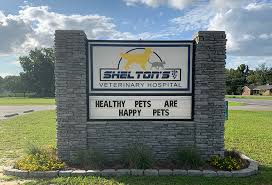 Mackenzie dvm (director of veterinary services). Meet Our Team Williamston Nc Shelton S Veterinary Hospital