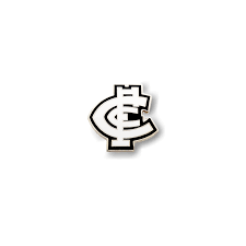 This last room is the largest in the north of spain. Carlton Blues Logo Metal Pin Badge Wear Your Pride
