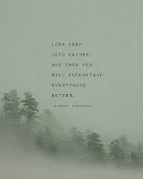Albert Einstein Nature Quote Look Deep Into Nature Gift For Etsy Nature Quotes Silence Quotes Nature Poem