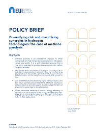 What state of matter is electricity? Https Cadmus Eui Eu Bitstream Handle 1814 72003 Qm Ax 21 037 En N Pdf Sequence 1