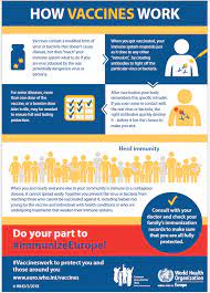 With funding from the u.s. Who Europe European Immunization Week 2020 Infographic How Vaccines Work 2018