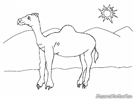 Anda bisa mencari produk ini di toko online yang mungkin jual gambar unta. 44 Contoh Gambar Hewan Unta Gratis Terbaik Gambar Hewan