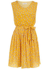 Dorothy Perkins Robin Pleat Bird Dress Vestidos Vestido Com Saia Looks