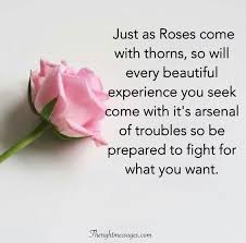 Maybe you would like to learn more about one of these? 30 Rose Quotes That Reminds You Of The Significance Of Roses The Right Messages