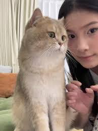 Cat Savage's Instagram, Twitter & Facebook